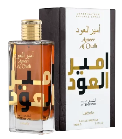 Lattafa Ameer Al Oudh Intense Oud EDP 100ml - Alt. By The Fireplace MDQ